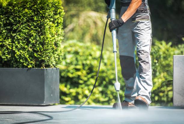 Best Sidewalk and Walkway Cleaning  in Ashland, KY